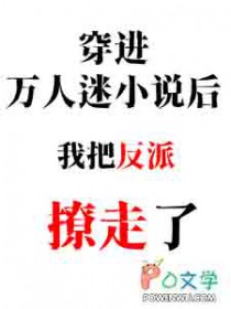 穿进万人迷小说后我把反派撩走了